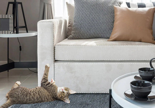 Cat Scratch Furniture Guards: Eight Pack, Self-Adhesive